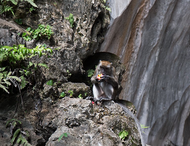 batucaves8