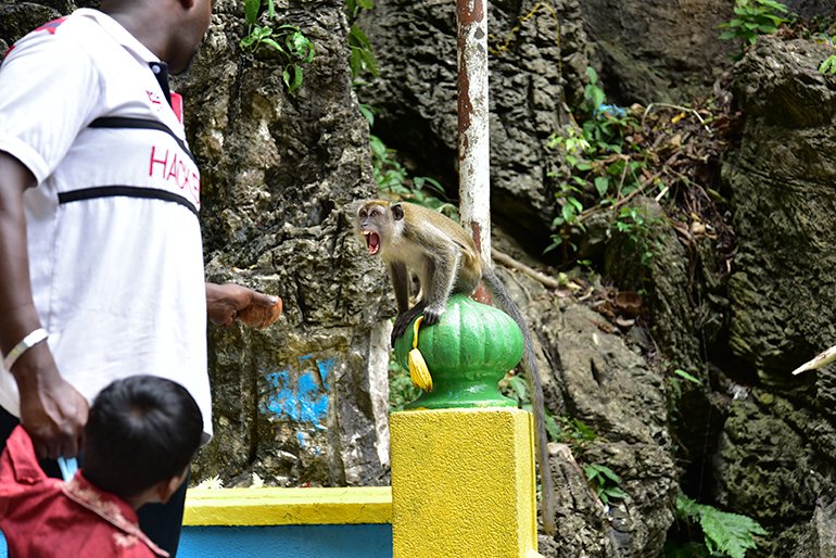 batucaves16