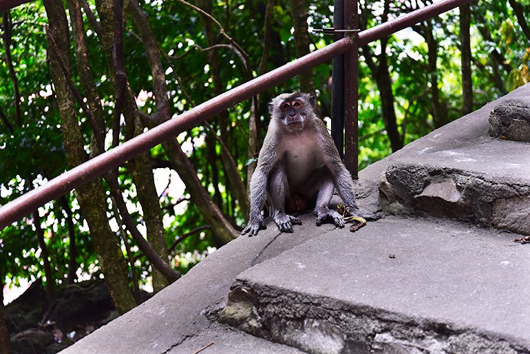 batucaves4