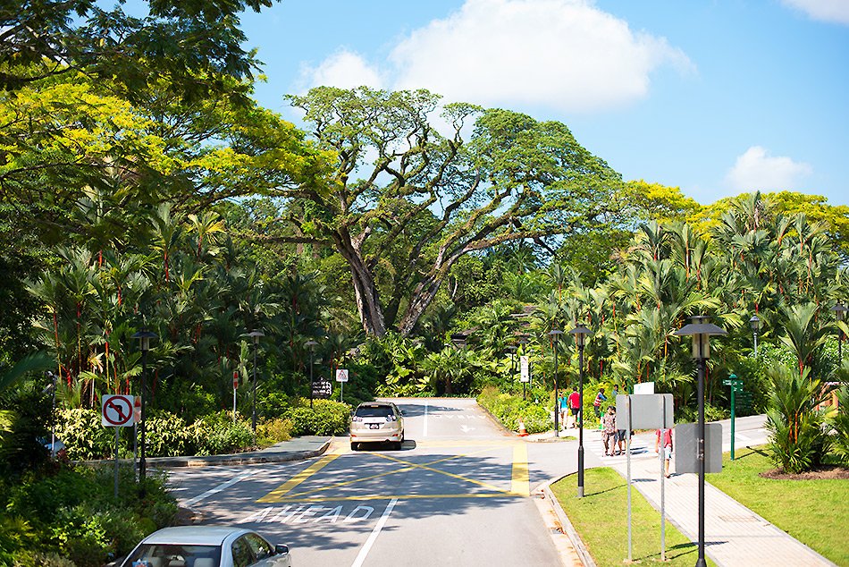 singapore