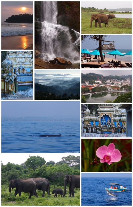 Next destination Sri Lanka