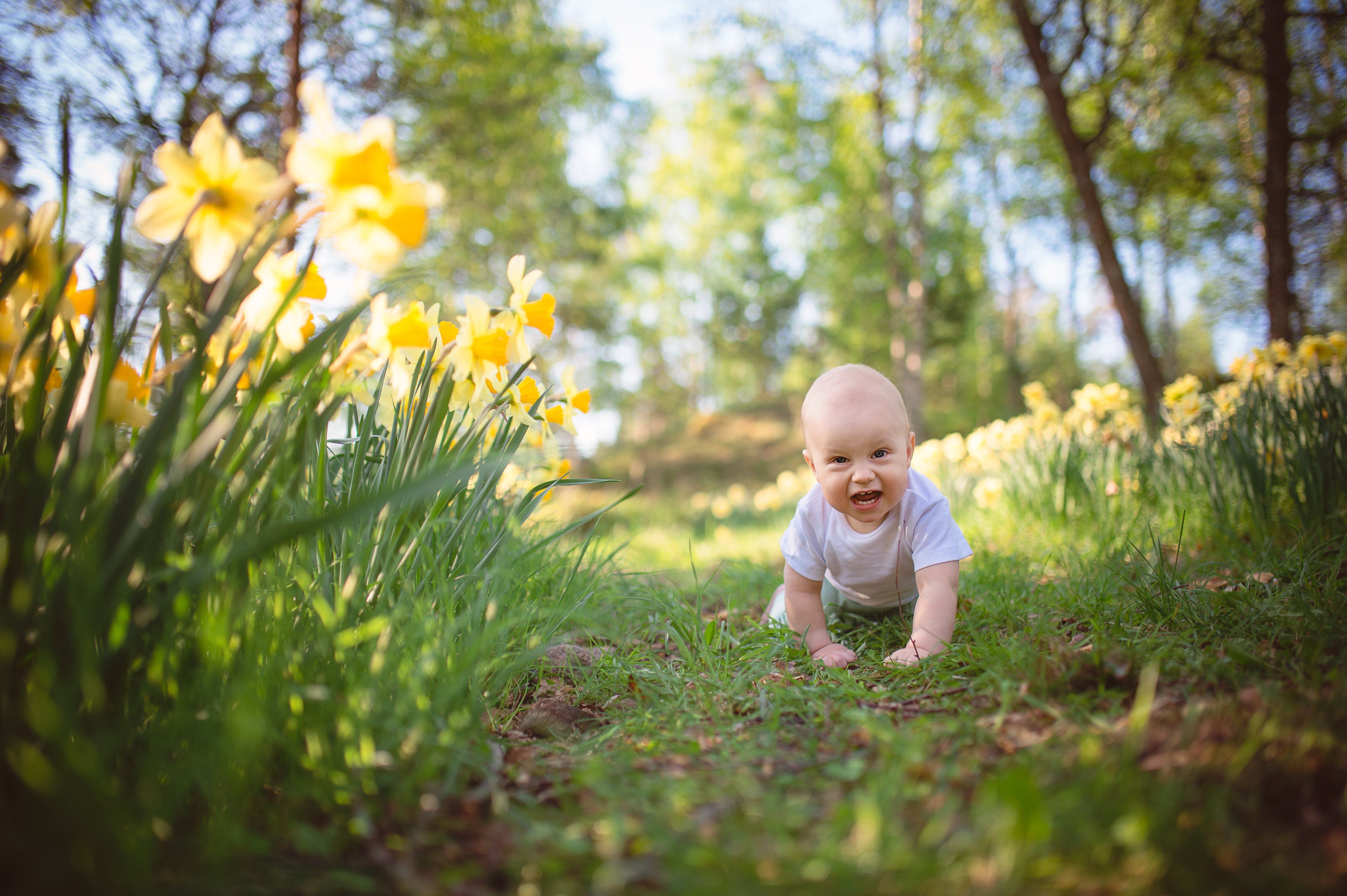 Tammisaari, Gullö gård kukkalaakso, niki strbian photography